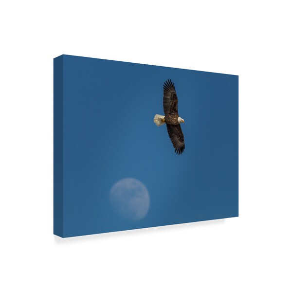Galloimages Online 'Eagle And Moon' Canvas Art,18x24
